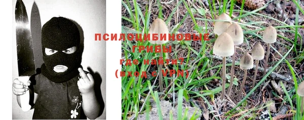 эйфоретик Корсаков