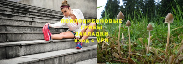 гидропоника Коряжма