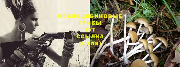 гидропоника Коряжма