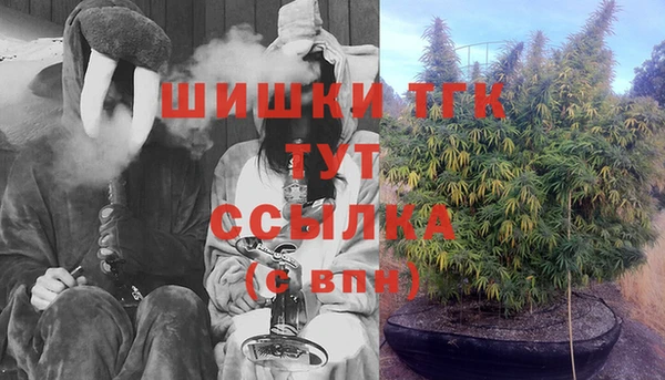 эйфоретик Корсаков