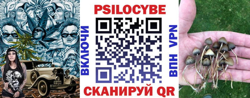 Псилоцибиновые грибы MAGIC MUSHROOMS  OMG ONION  Моршанск 