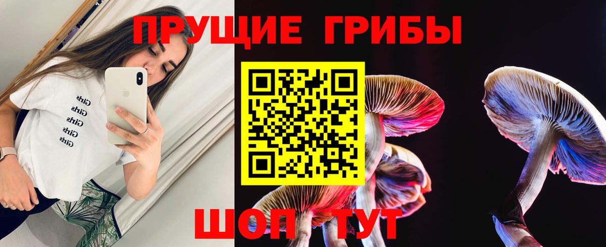 цены наркотик  Псилоцибиновые грибы Magic Shrooms  Вход с VPN  Моршанск 